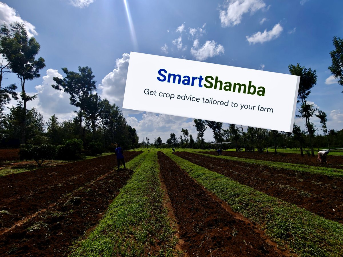 Eddie Kago ⚡ tweet media