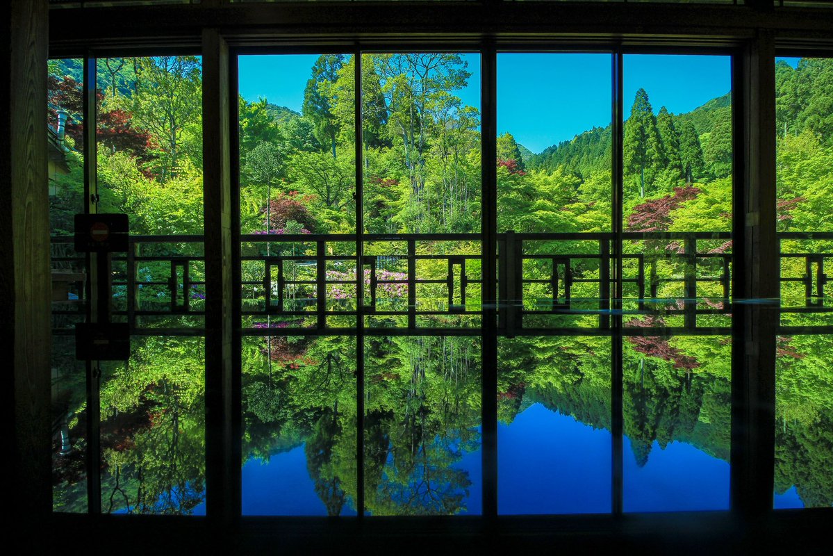 カラフル写真家Ayane.💐5/23（土）デザフェス西1階D-76.77 tweet media