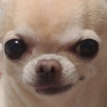 METALHEAD tweet media