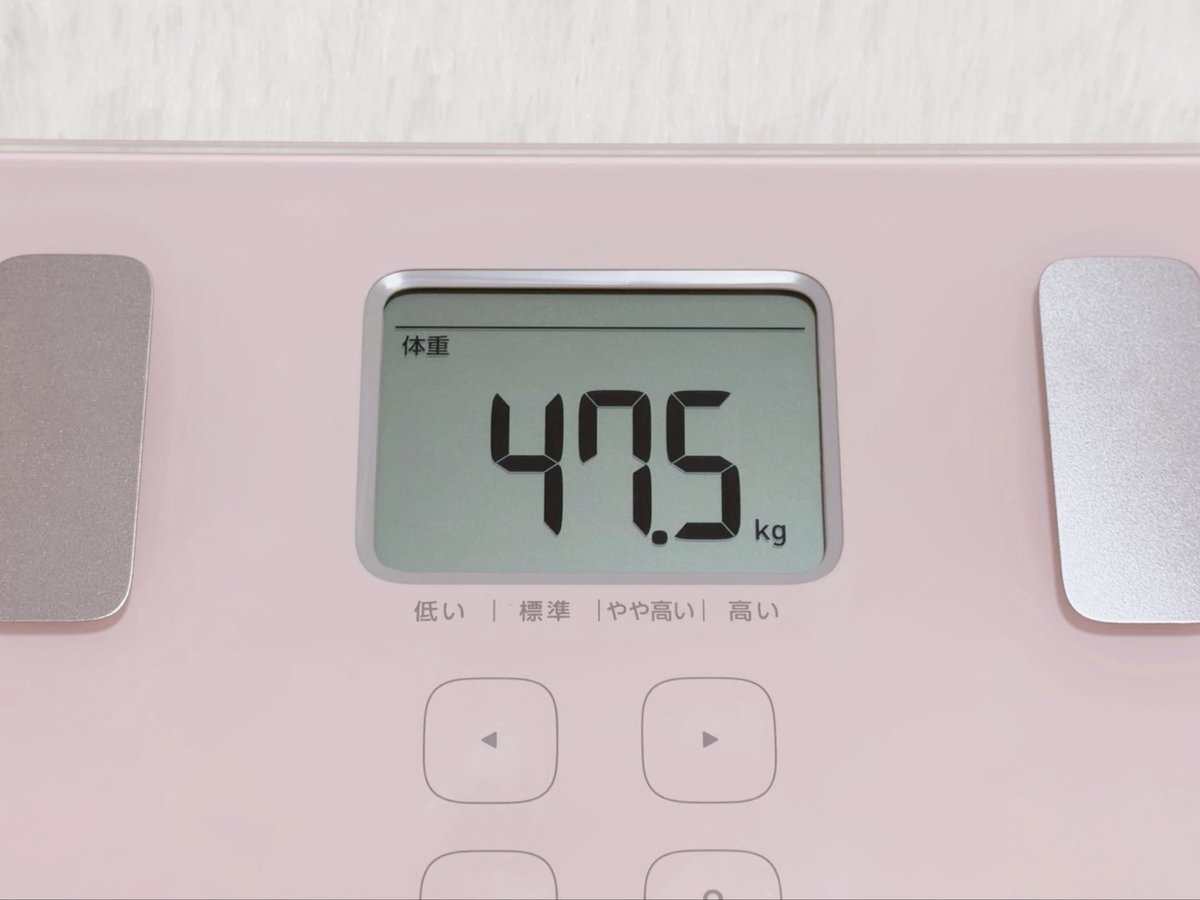 🎀 進撃のみぃ 🐰🍼 tweet media