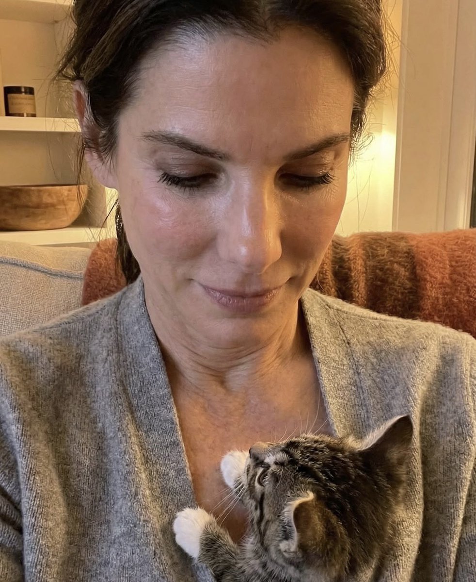 Sandra Annette Bullock Fans Page tweet media