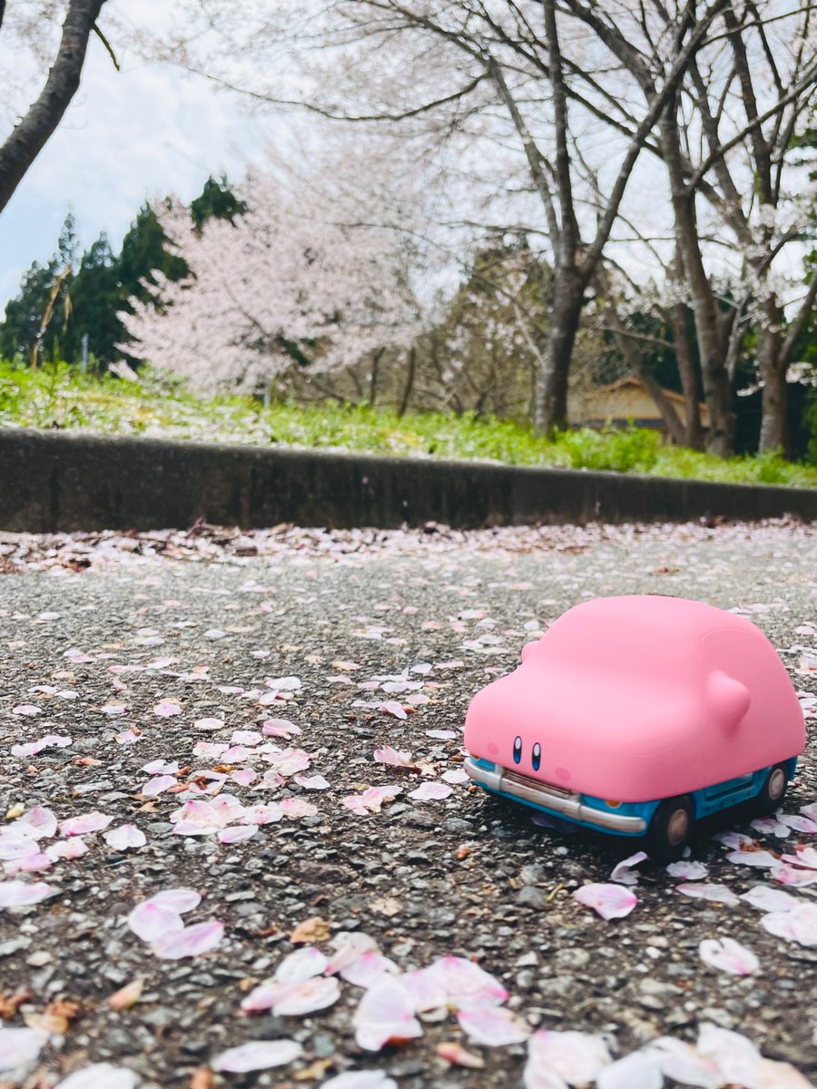 春が来たところを巡る旅🌸