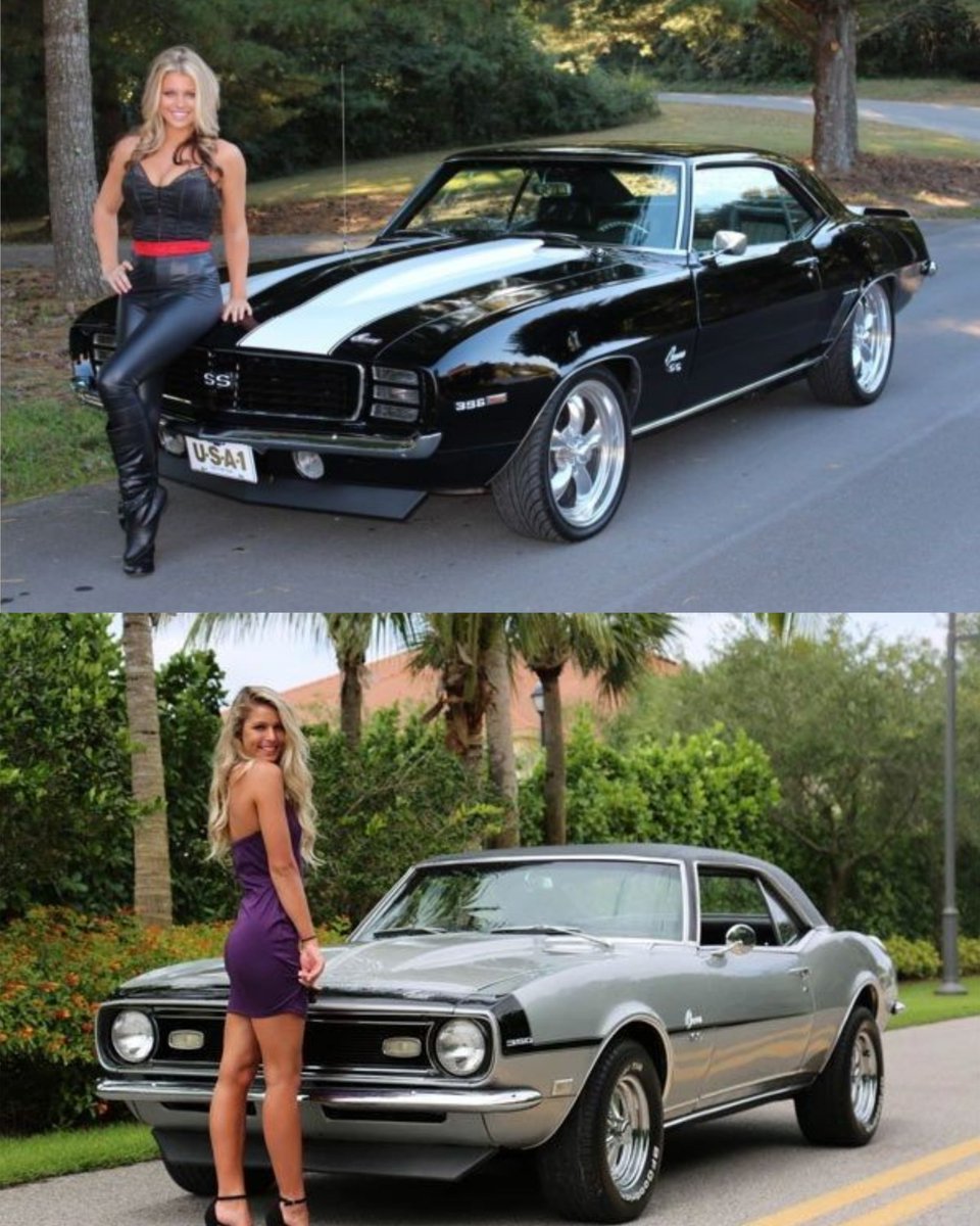 Vintage Cars Collection tweet media