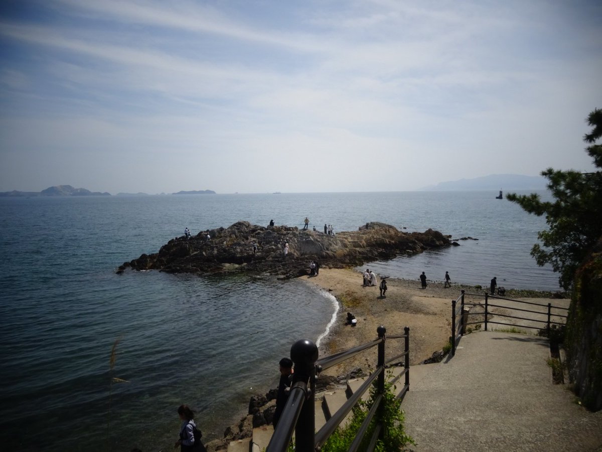 hiro3101 tweet media