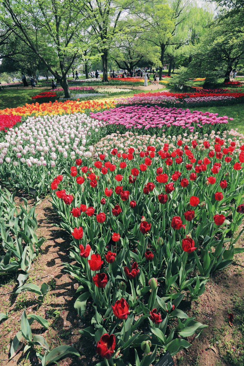 へいじろ tweet media