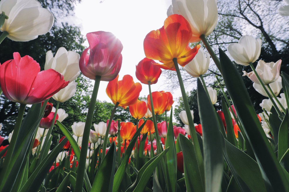 へいじろ tweet media