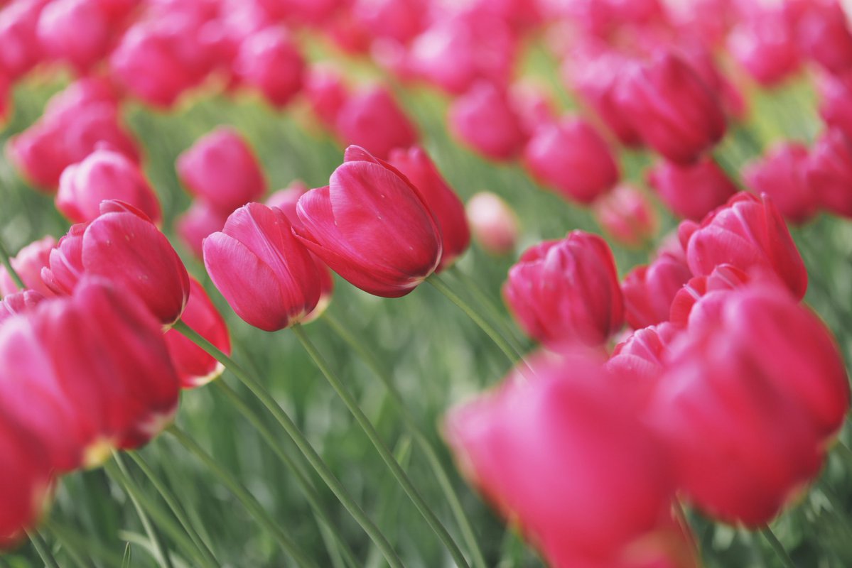 へいじろ tweet media