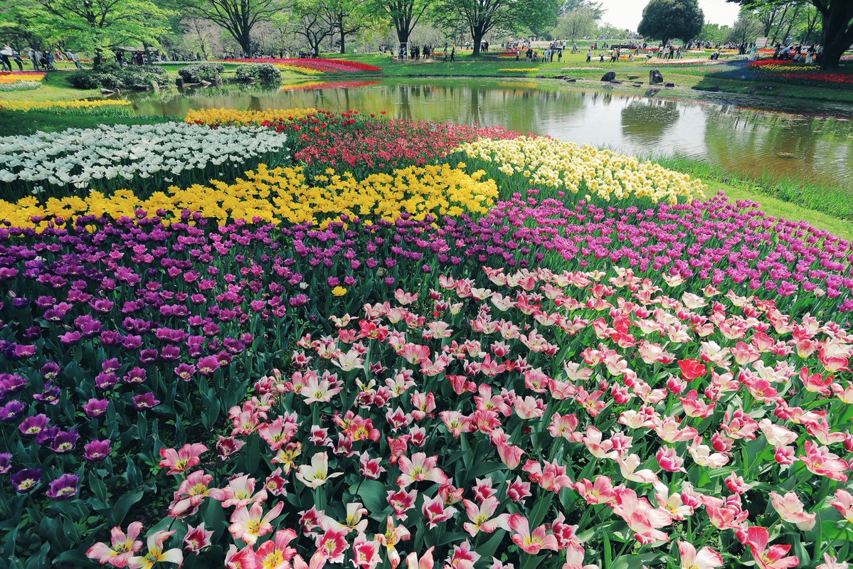 へいじろ tweet media