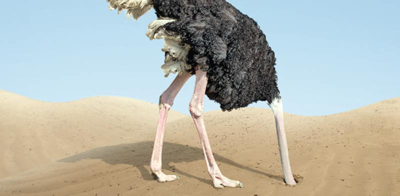 פלוני זלמוני tweet media