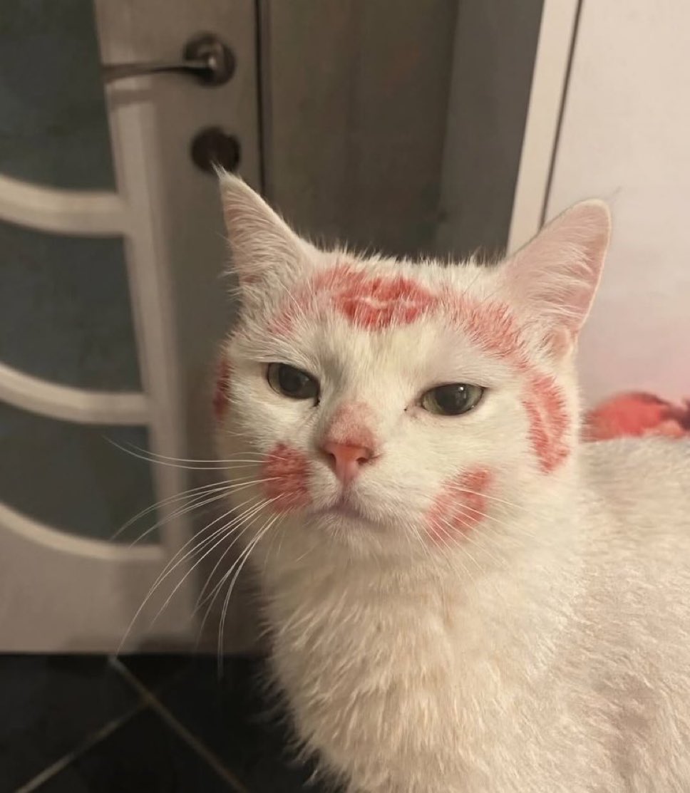 愛されています