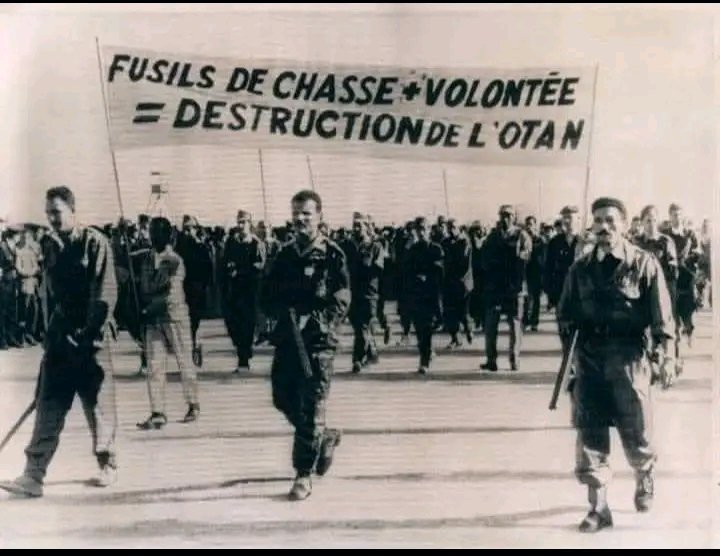 Algerian Military History 🇩🇿 tweet media