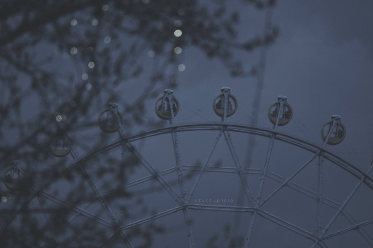 賑やかなはずだった。