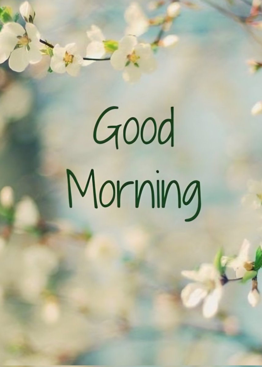 DianeBrumbaugh tweet media