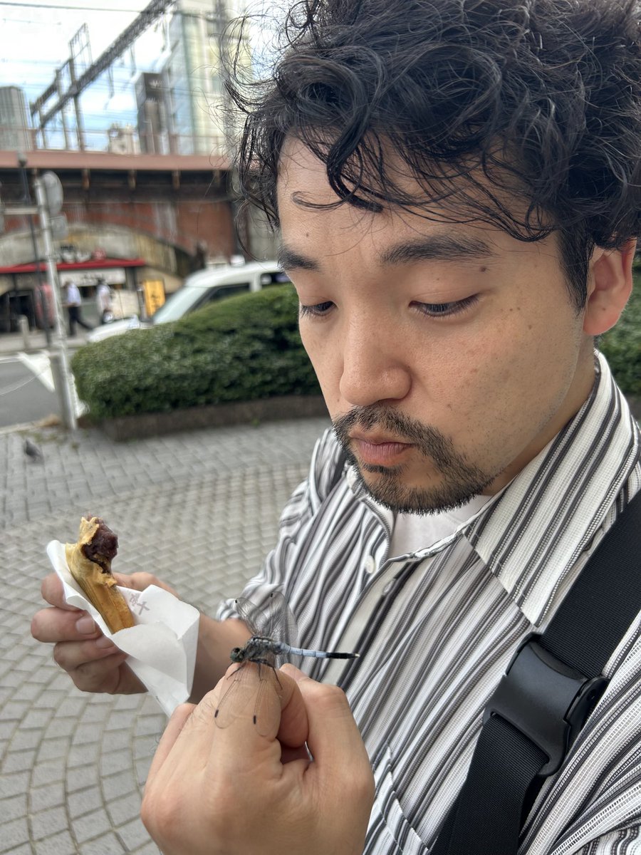大雅_ととのえる人 tweet media