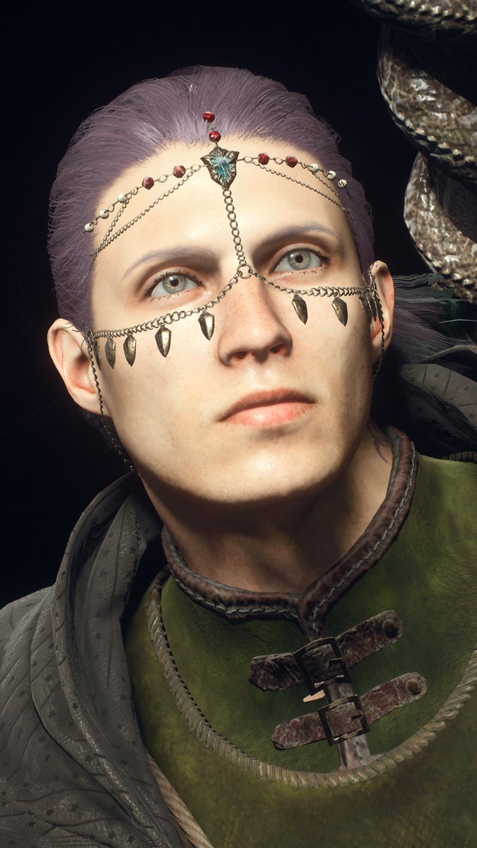 しましま犬 tweet media