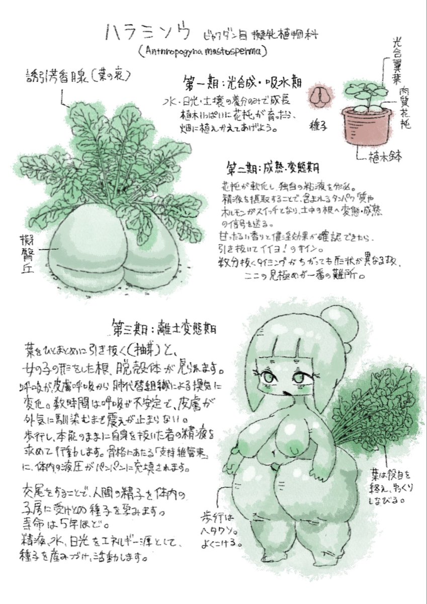 枕絵師🔞 tweet media