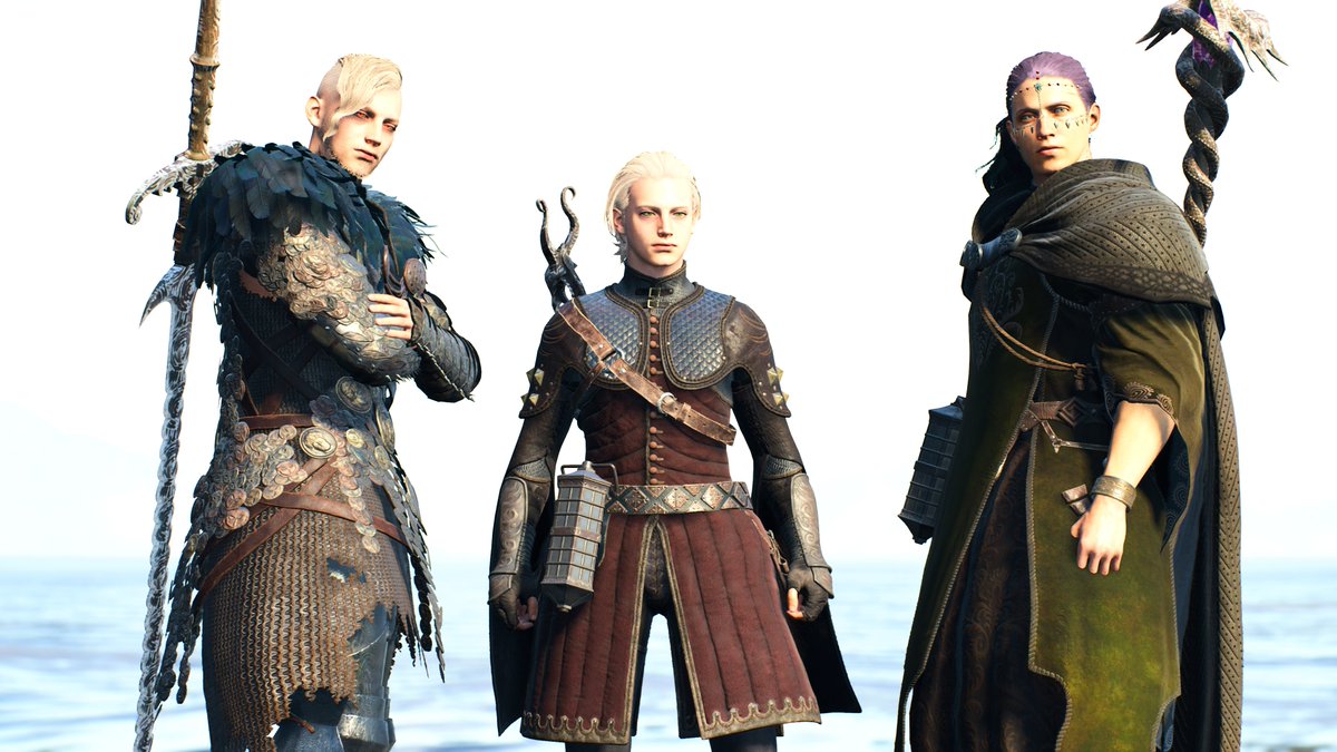 しましま犬 tweet media