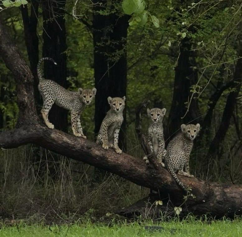 Rishi Bagree tweet media