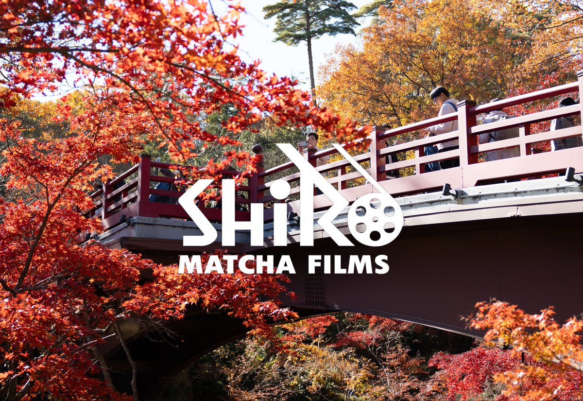 shiro matcha tweet media