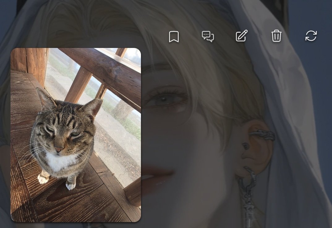 새벽 tweet media