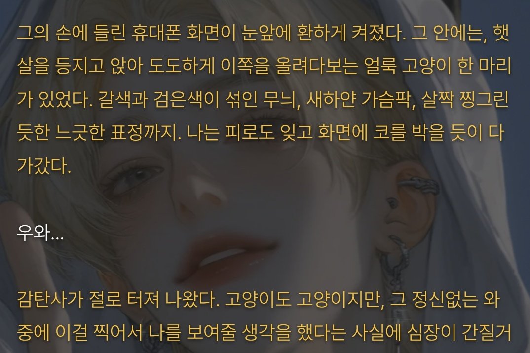 새벽 tweet media
