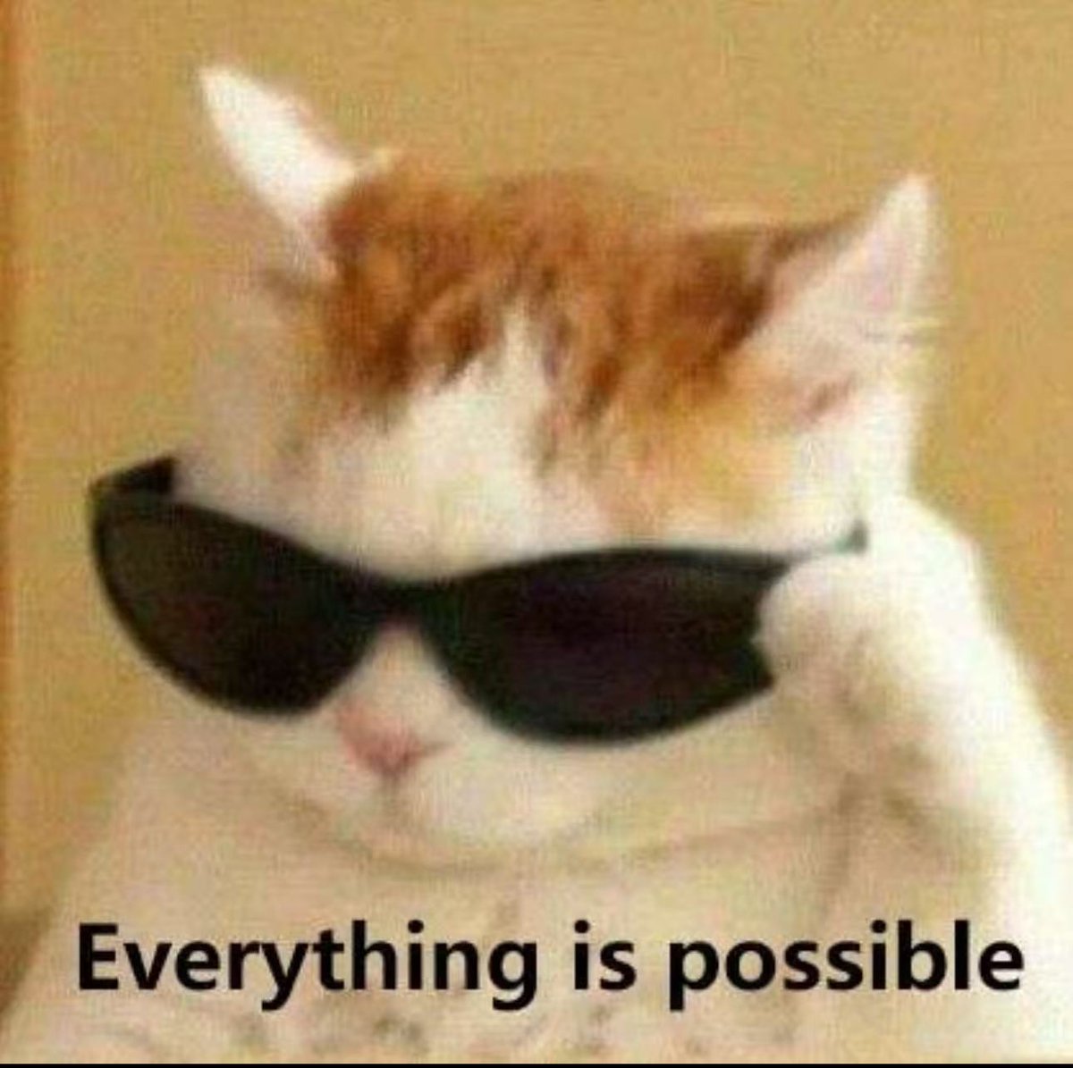 박재찬시그널만렙_LIGHT SPACE tweet media