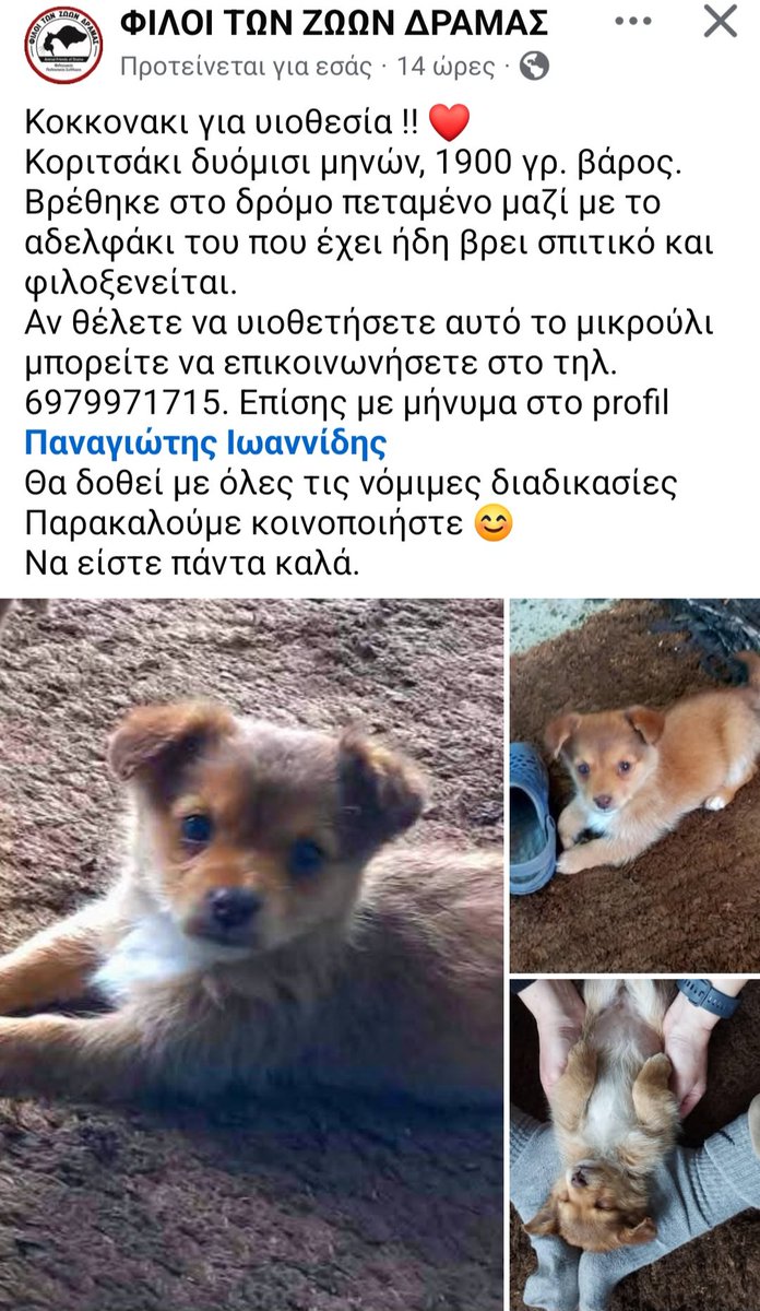 Χλε_Μπονα Σαμερ tweet media