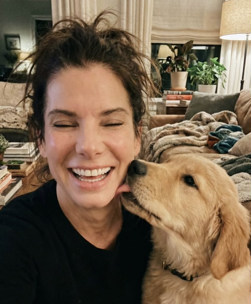 sandra bullock tweet media