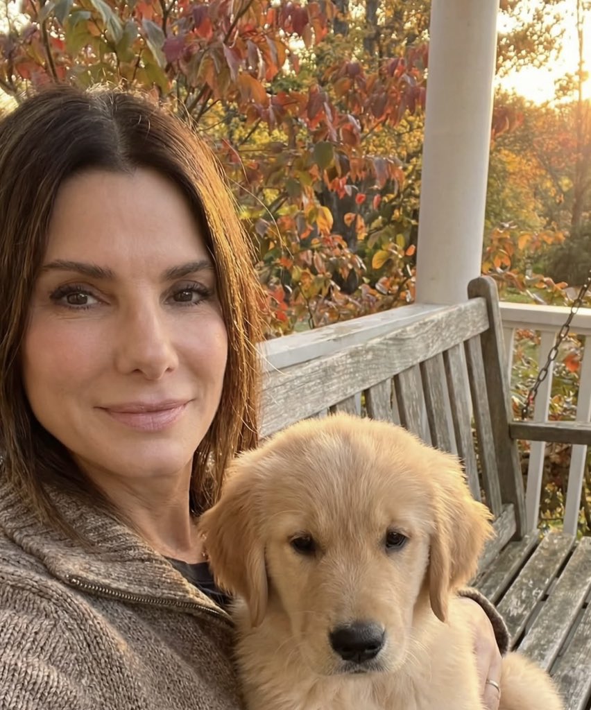 sandra bullock tweet media