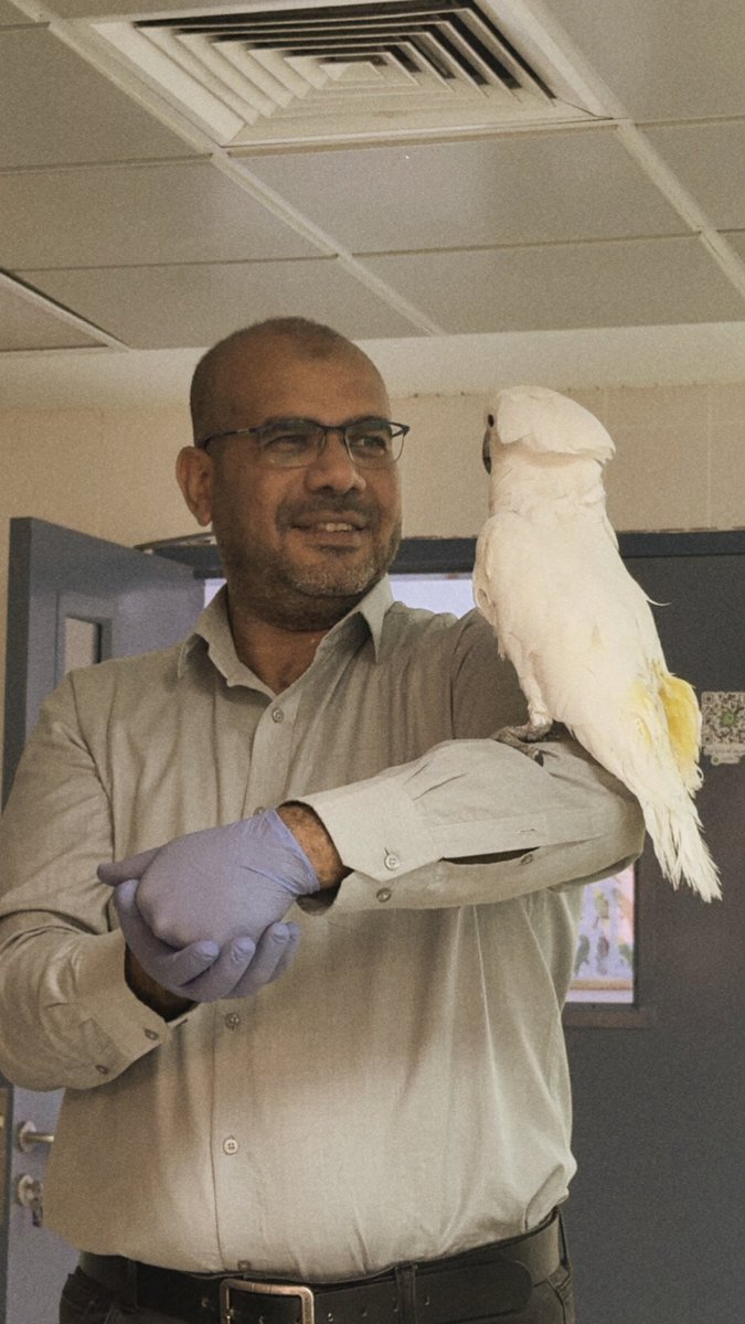 𝐅𝐚𝐭𝐡𝐢🕷️ tweet media