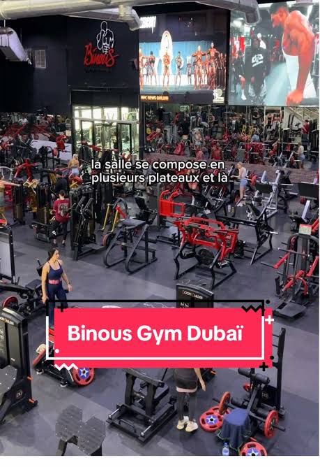 Tibo InShape tweet media