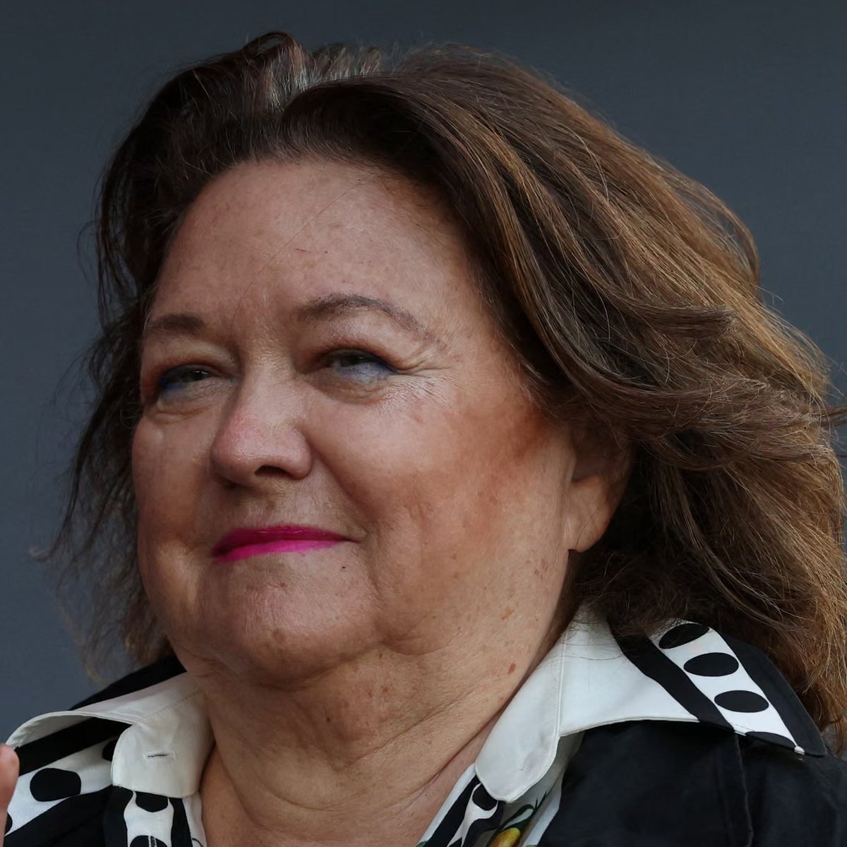 🏳️‍🌈 🏳️‍⚧️ 🇵🇸 🇺🇦 tweet media