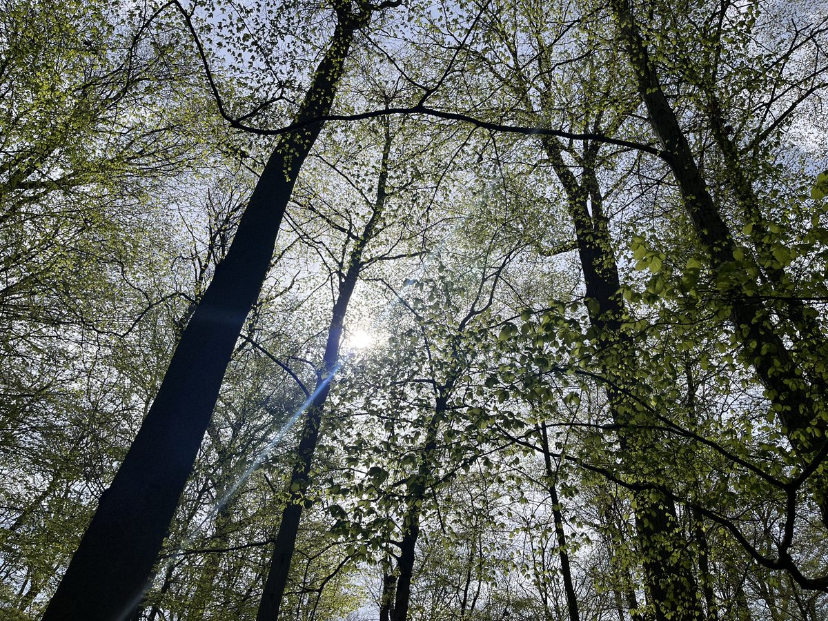 aminata 🍠 tweet media