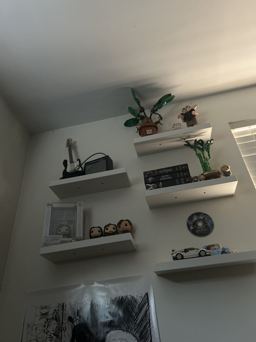 caleb • edtwt tweet media