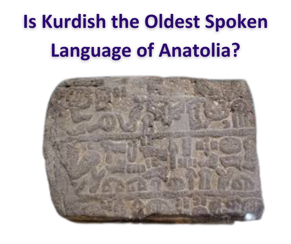 Soran Hamarash tweet media