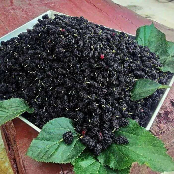 Sonia ❤️ tweet media