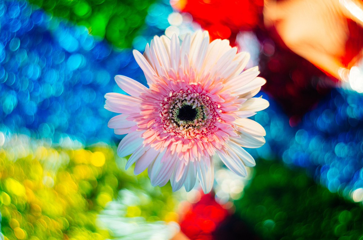 AMORY  OMAR tweet media