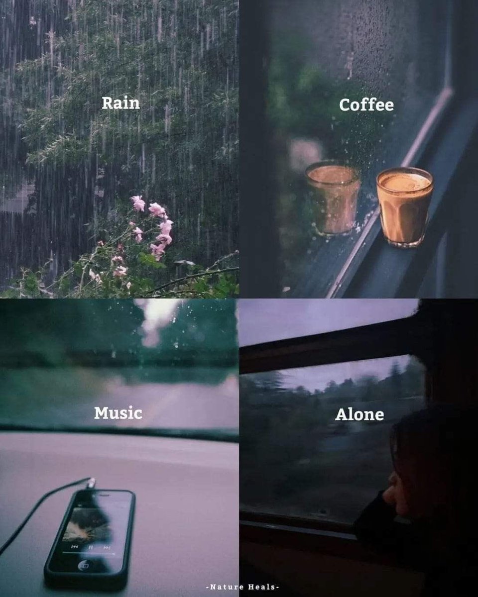 𝘯𝑎𝘵𝑢𝘳𝑒. tweet media