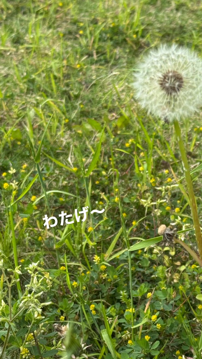 はるやまjp. tweet media