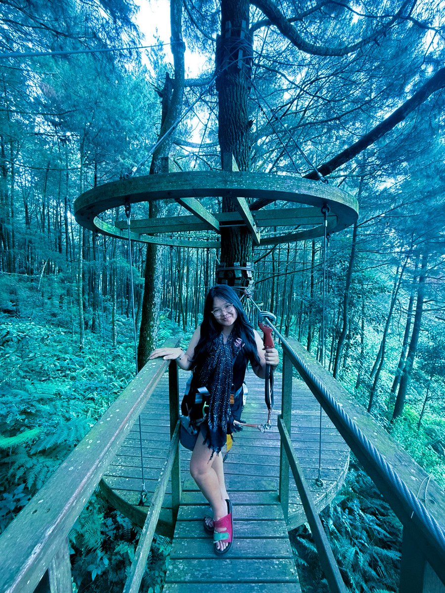 momo | solo traveling tweet media