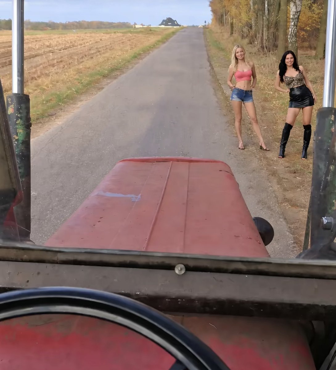 pulpo404 tweet media