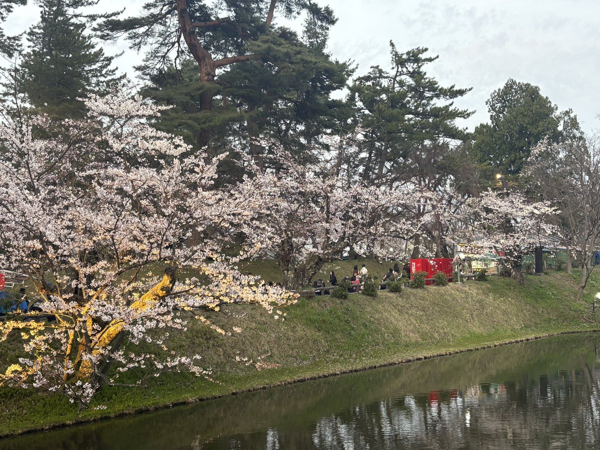 タンパク(優しくなりたい) tweet media