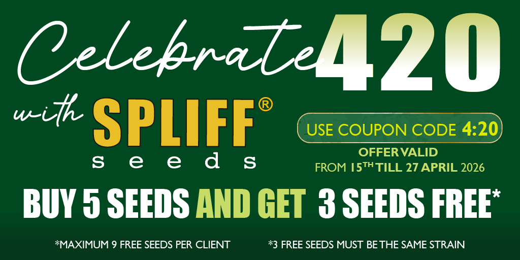 Spliff Seeds ® tweet media