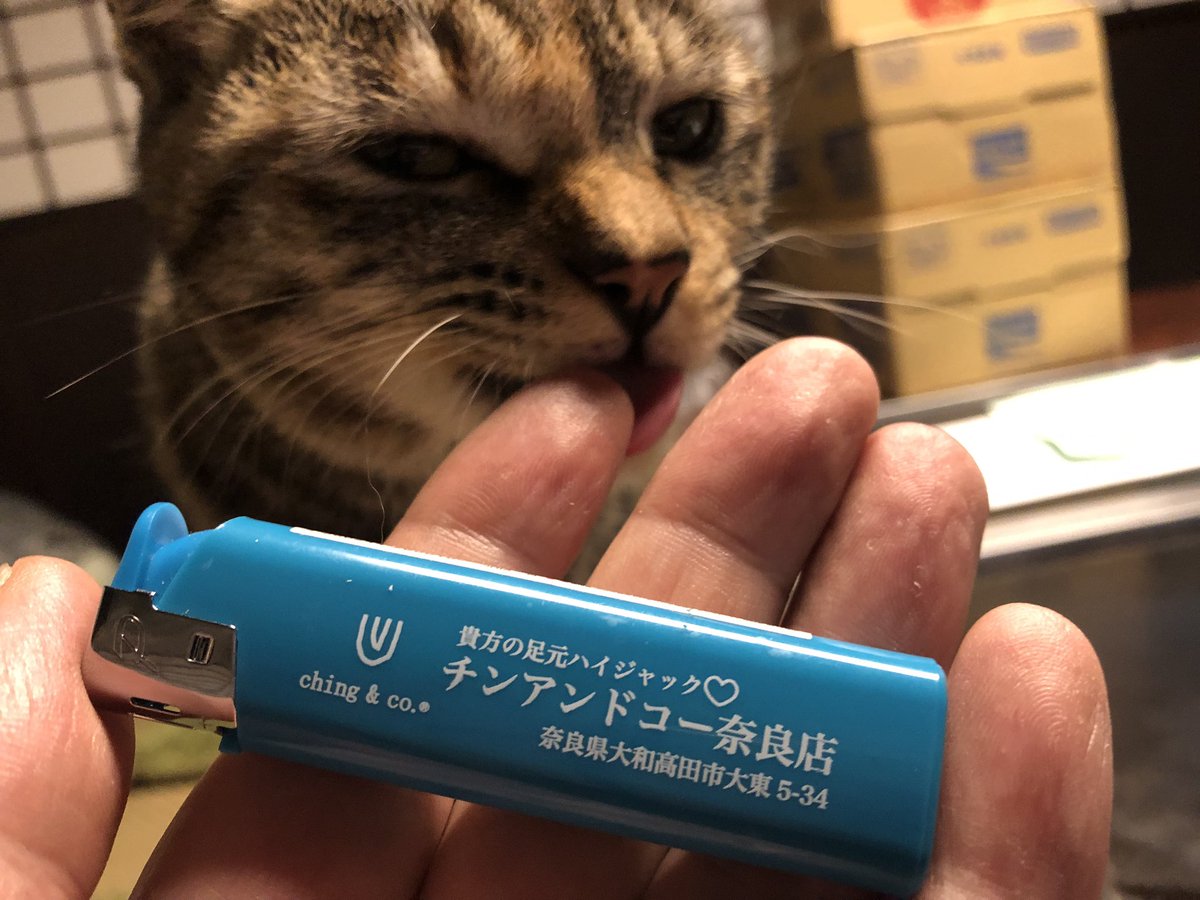 gnotagig's tweet photo. ニック＠anyacadillacからチンアンドコーのライターもらた！ソックスはずーっとching &amp;co.の履いてるから嬉しい！
紙巻きタバコやめてからライターとは縁がないけどこれは嬉しいね！
あとたん@sakuratan41からでけえカプリコもらた！カプすけは確認できずだ。。 https://t.co/R07KvGRQSt