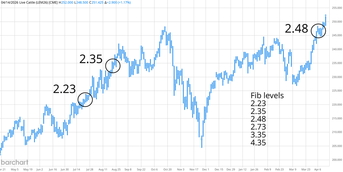 TradesByDave's tweet image. #LE_F After taking a break, the parabolic move continues. #Cattle