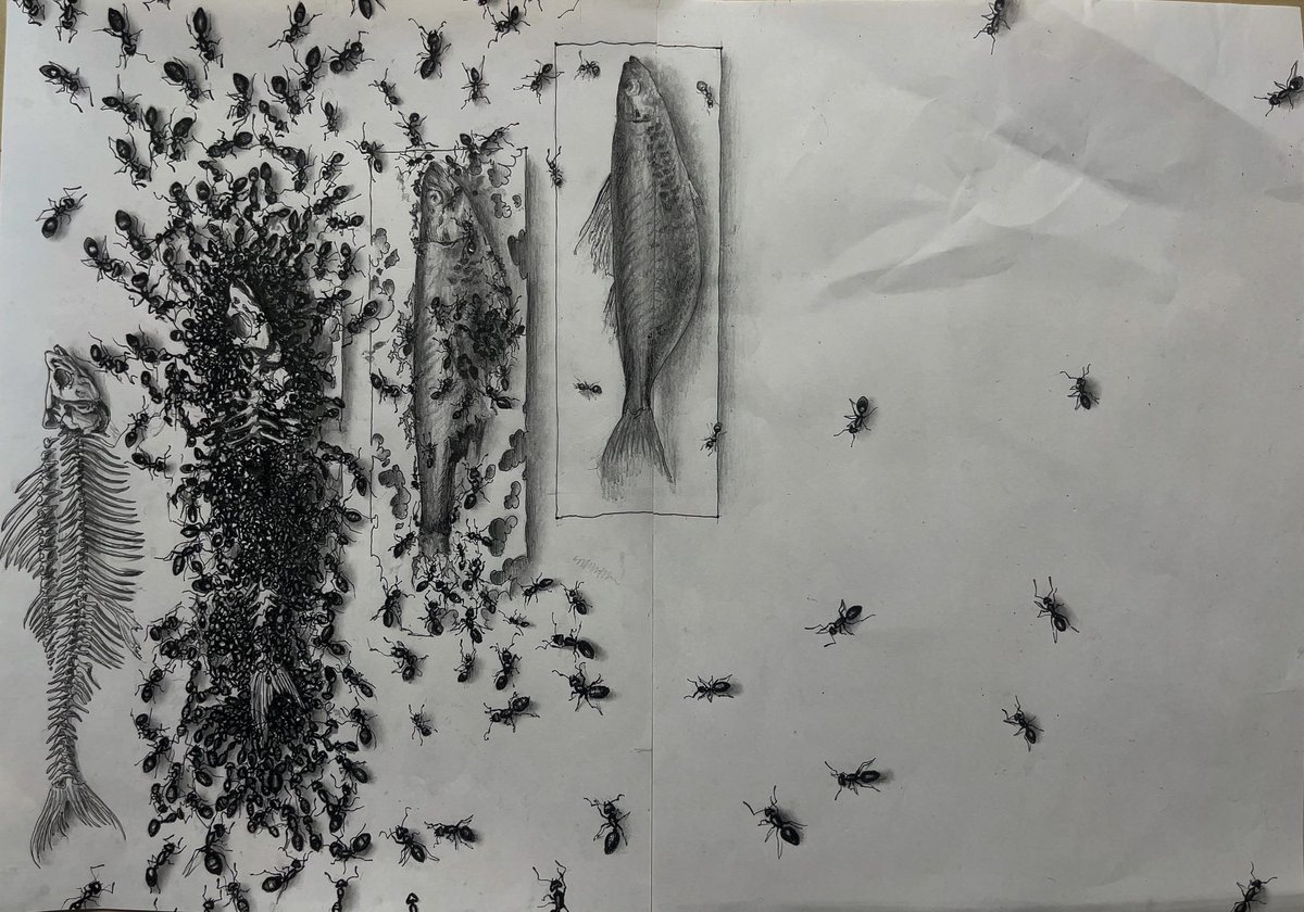 たつはる tweet media