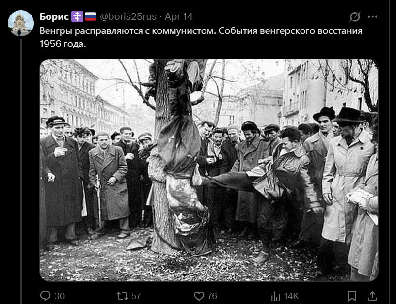 Веселое петушествие с Эли✡️🦄🐍 tweet media