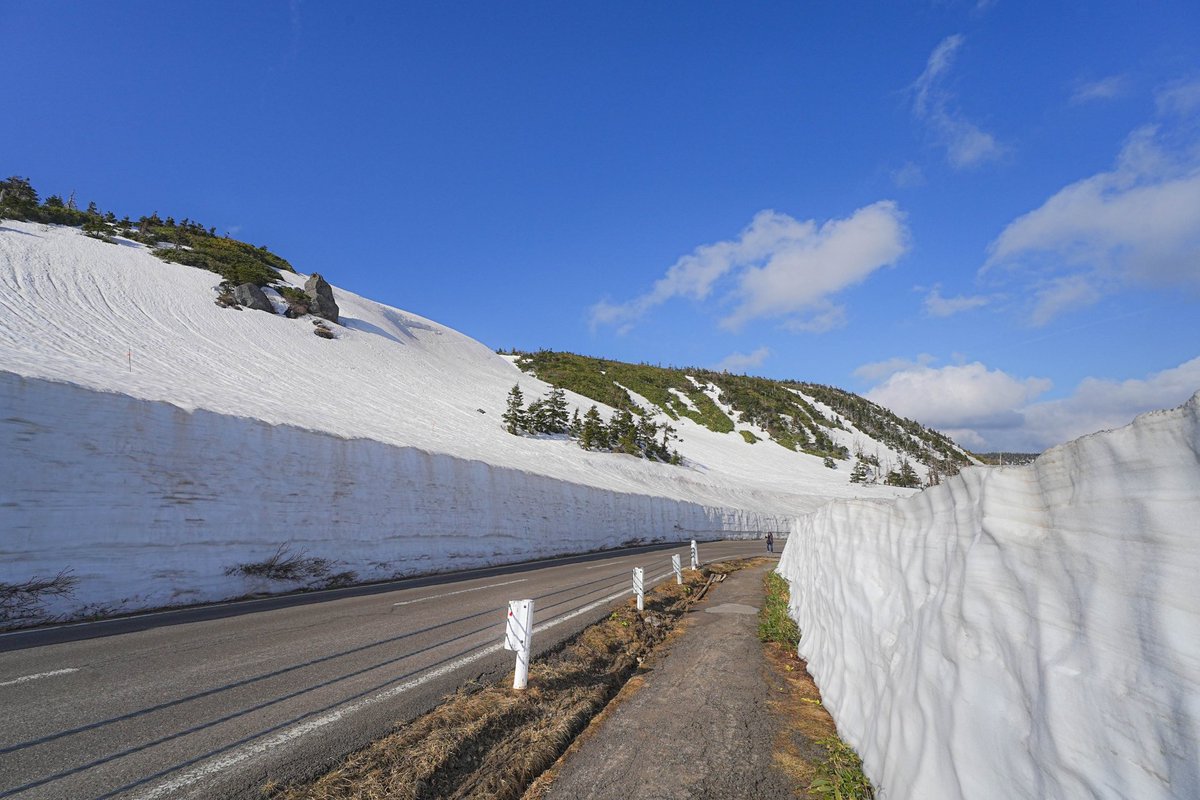 （株）むう企画【公式】 tweet media