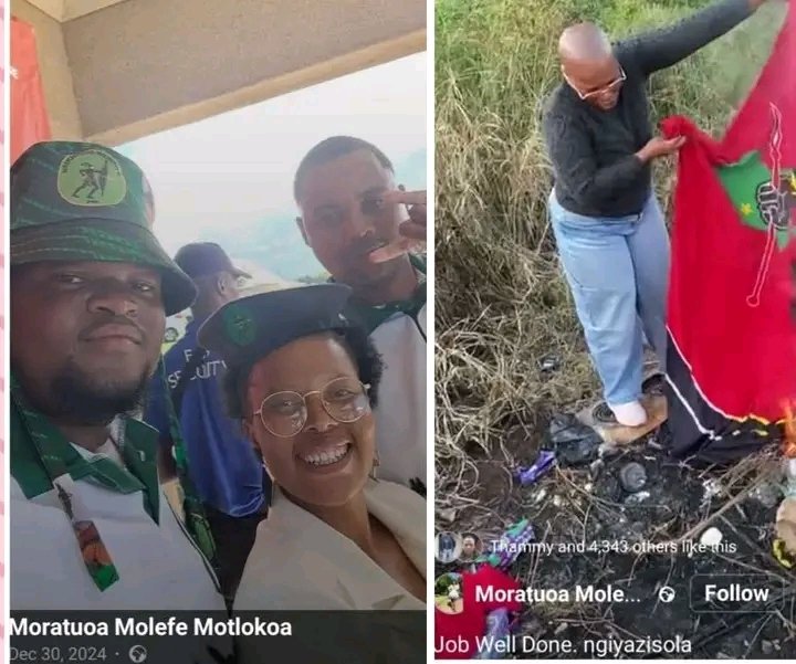 MphoDibakoane tweet media