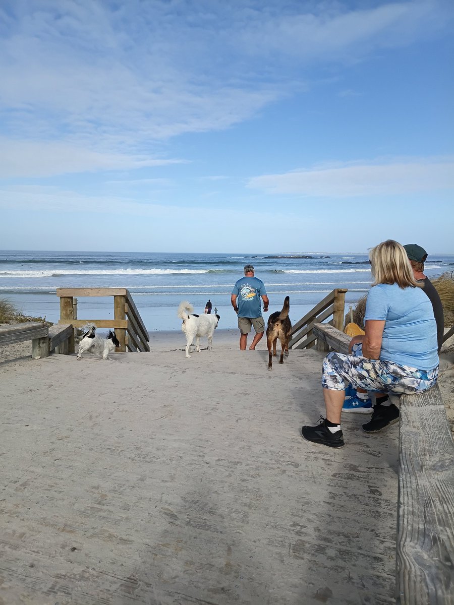 Maik 'o Jai 🇹🇭 🇿🇦 tweet media